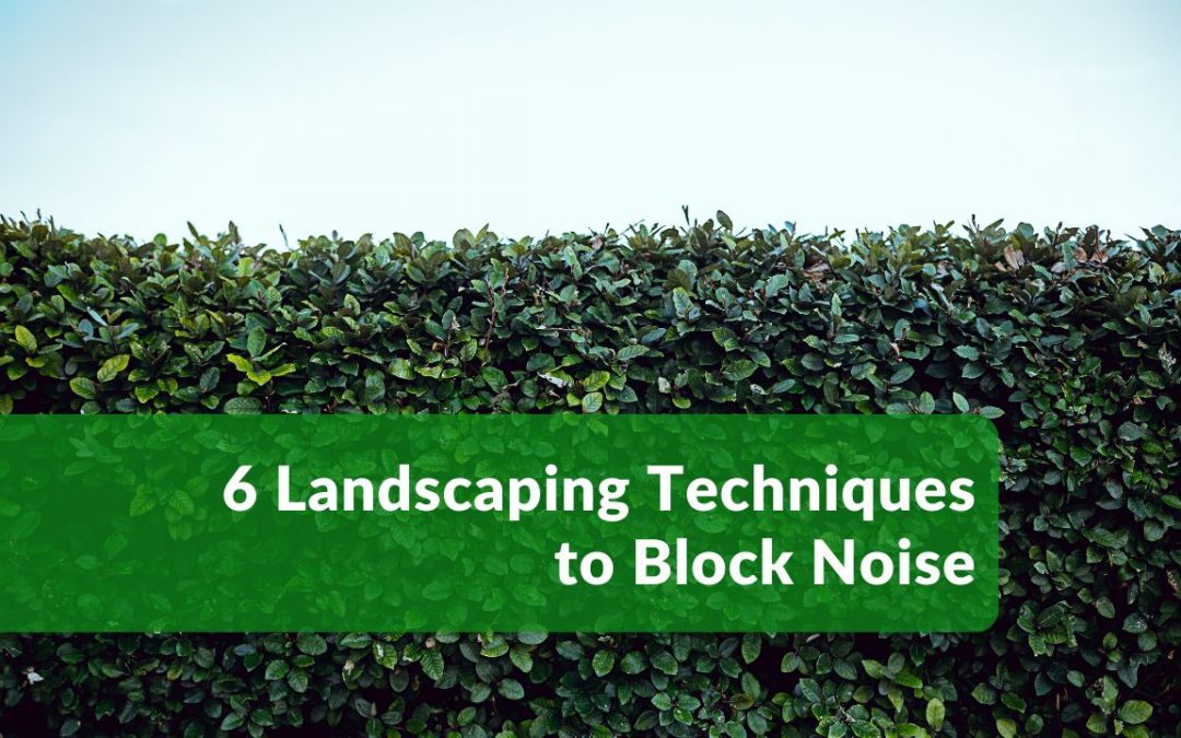 How to Block Neighbors Noise