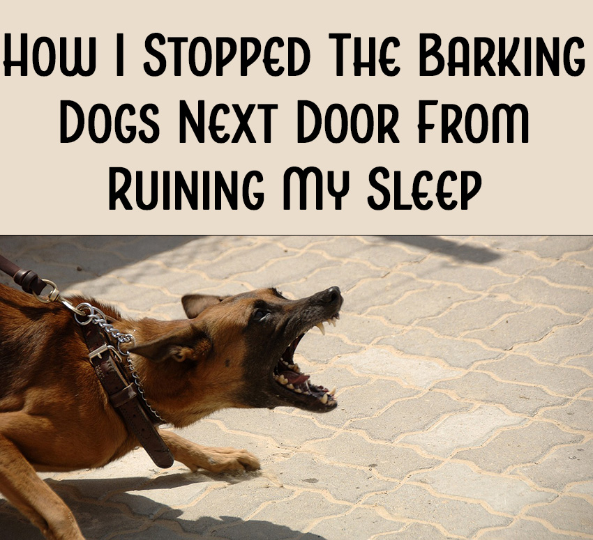 How to Soundproof a Window from Barking Dog