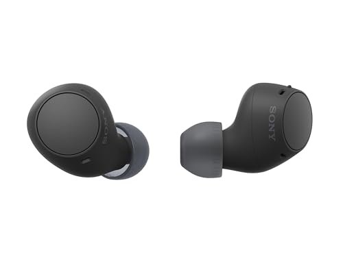 Sony WF-C510 Truly Wireless in-Ear Bluetooth Earbud...