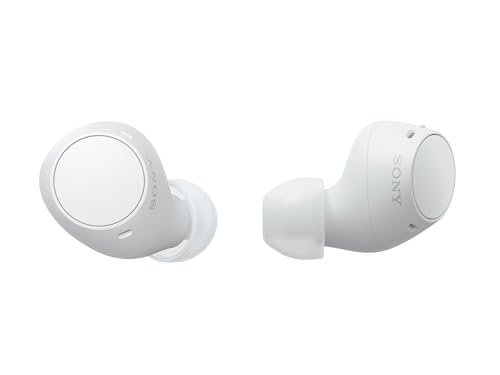 Sony WF-C510 Truly Wireless in-Ear Bluetooth Earbud...