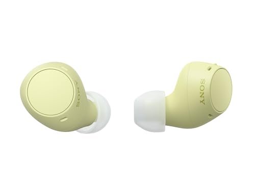 Sony WF-C510 Truly Wireless in-Ear Bluetooth Earbud...