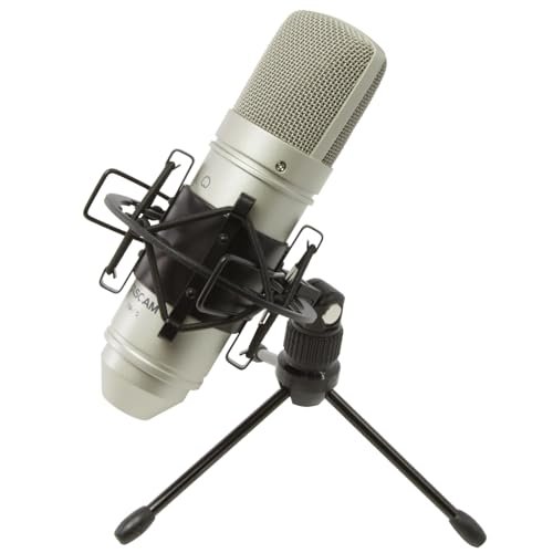 Tascam TM-80 Large Diaphagm Condenser Microphone,Silver
