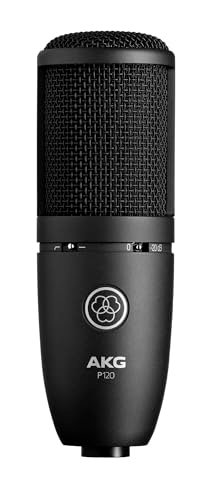 AKG Pro Audio P120 - Affordable 2/3-Inch Diaphragm...